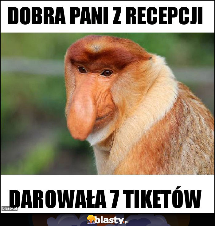 DOBRA PANI Z RECEPCJI DOBRA PANI Z RECEPCJI