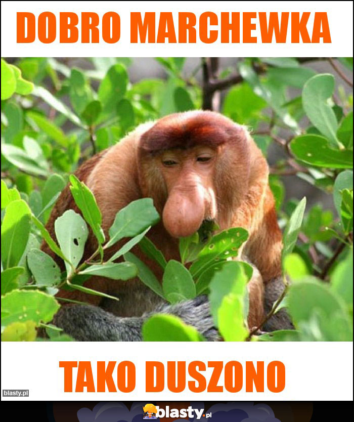 Dobro marchewka Dobro marchewka