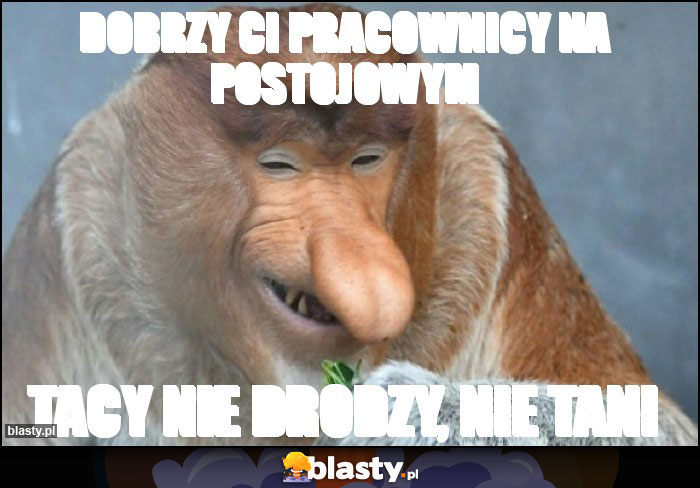 Dobrzy ci pracownicy na postojowym Dobrzy ci pracownicy na postojowym