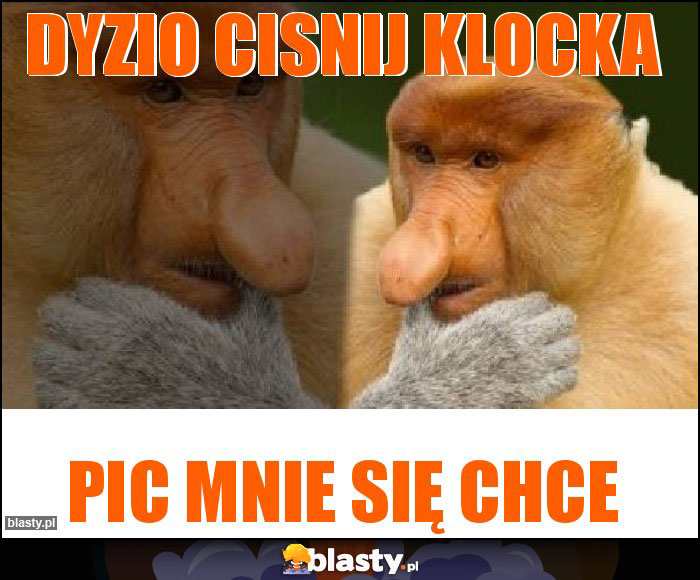 Dyzio cisnij klocka Dyzio cisnij klocka