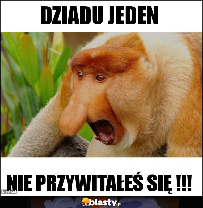 DZIADU JEDEN DZIADU JEDEN