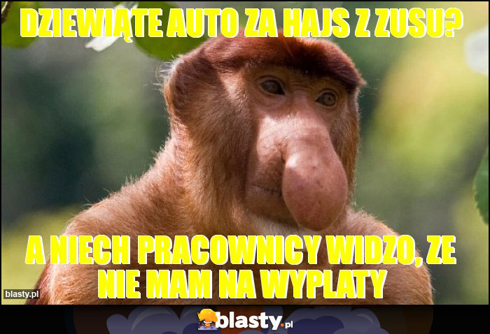 Dziewiąte auto za hajs z zusu? Dziewiąte auto za hajs z zusu?
