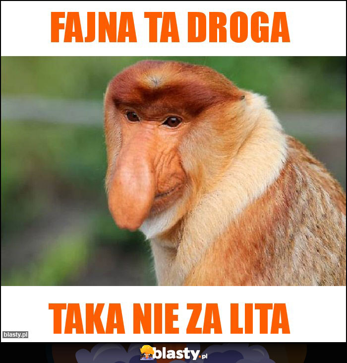 Fajna ta droga Fajna ta droga