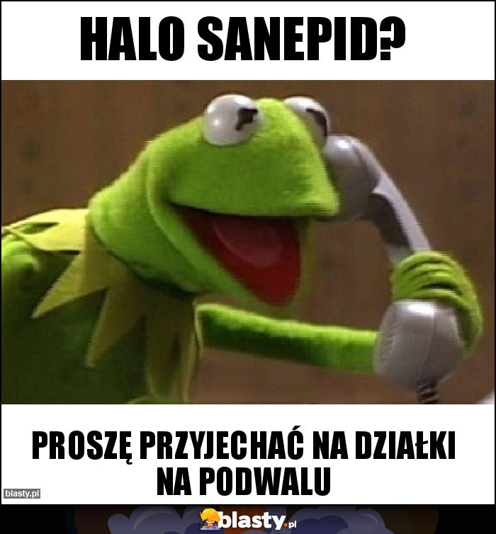 HALO SANEPID? HALO SANEPID?
