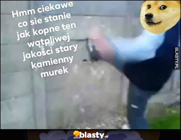 Hmm ciekawe co się stanie jak kopnę ten wątpliwej jakości stary kamienny murek pieseł doge