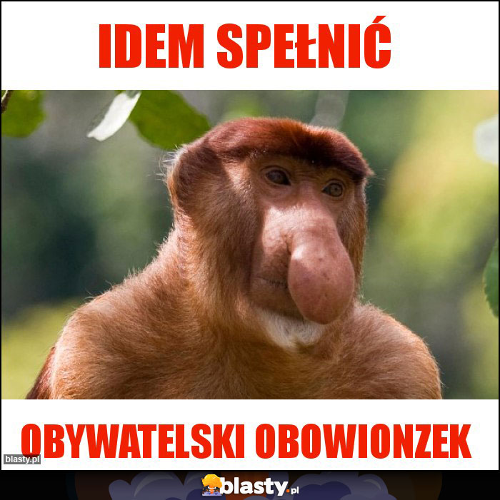 IDEM SPEŁNIĆ IDEM SPEŁNIĆ
