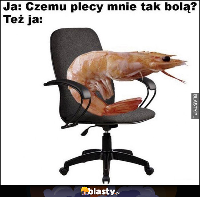 Ja: czemu plecy mnie tak bolą, też ja: wygięty jak krewetka