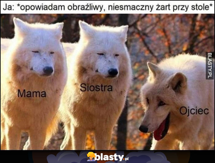 Ja: opowiadam obraźliwy, niesmaczny żart przy stole. Mama i siostra niewzruszone, ojciec sie śmieje wilki