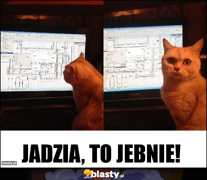 Jadzia, to jebnie! Jadzia, to jebnie!