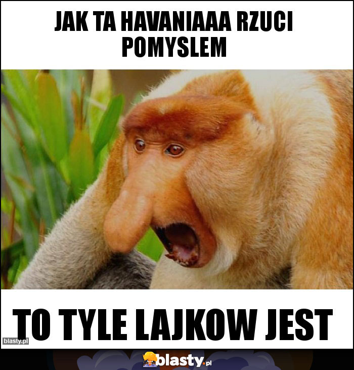 JAK TA HAVANIAAA RZUCI POMYSLEM