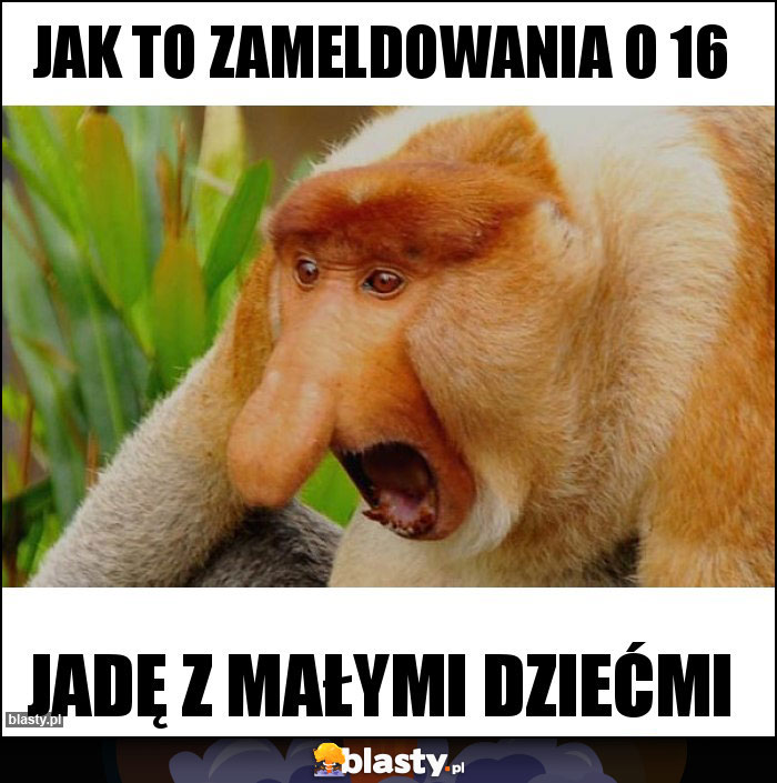 JAK TO ZAMELDOWANIA O 16 JAK TO ZAMELDOWANIA O 16