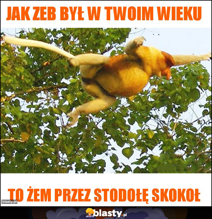 Jak zeb był w twoim wieku Jak zeb był w twoim wieku