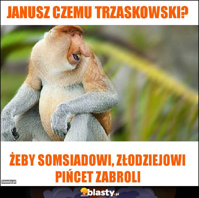 Janusz czemu Trzaskowski? Janusz czemu Trzaskowski?