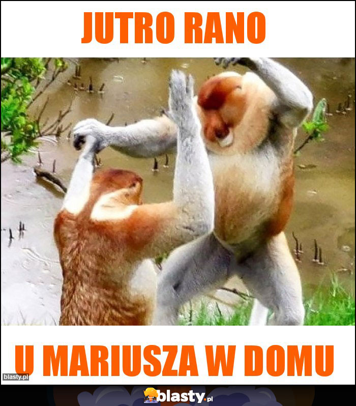 Jutro rano Jutro rano
