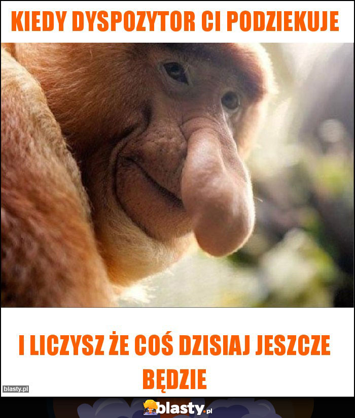 Kiedy dyspozytor Ci podziekuje