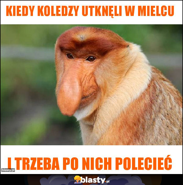 Kiedy koledzy utknęli w mielcu Kiedy koledzy utknęli w mielcu