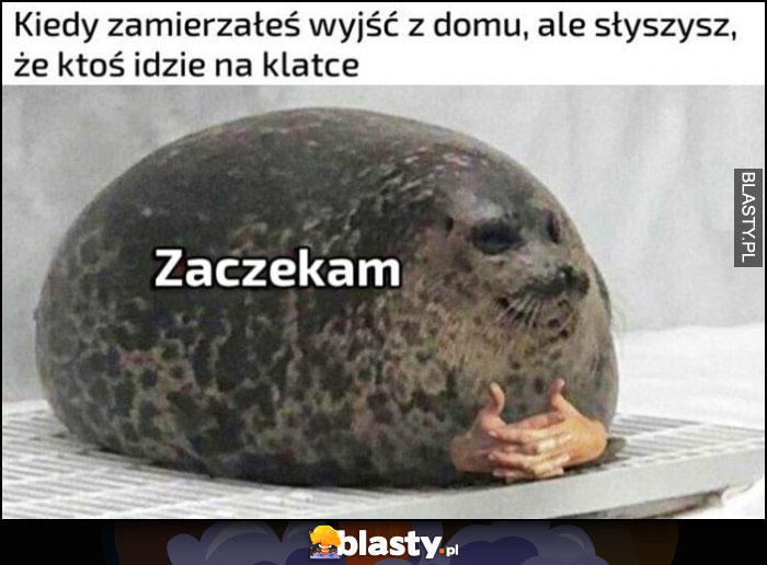 Kiedy zamierzałeś wyjść z domu, ale słyszysz, że ktoś idzie na klatce, zaczekam