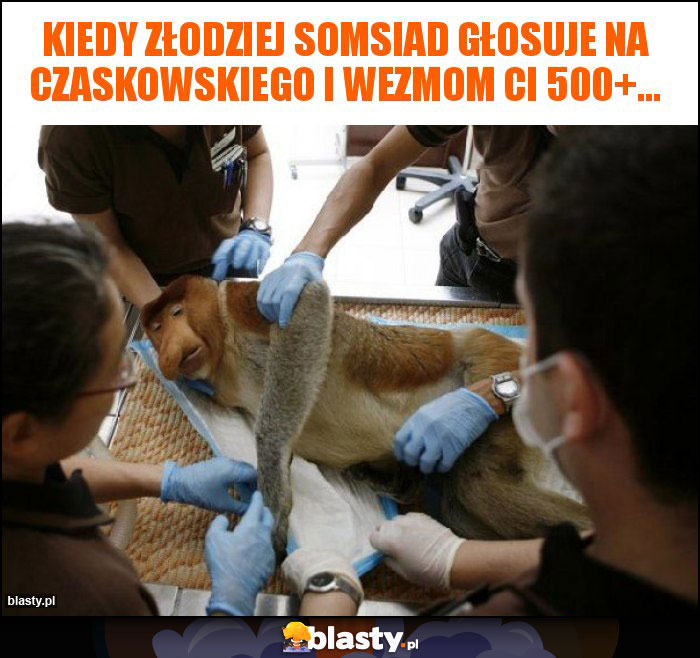 kiedy złodziej somsiad głosuje na Czaskowskiego i wezmom ci 500+... kiedy złodziej somsiad głosuje na Czaskowskiego i wezmom ci 500+...
