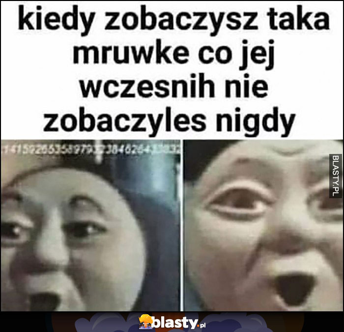 Kiedy zobaczysz taką mrówkę co jej wcześniej nie zobaczyłeś nigdy zdziwiony