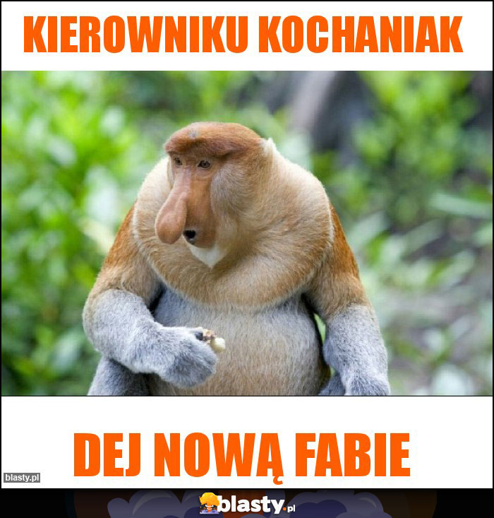 Kierowniku Kochaniak Kierowniku Kochaniak