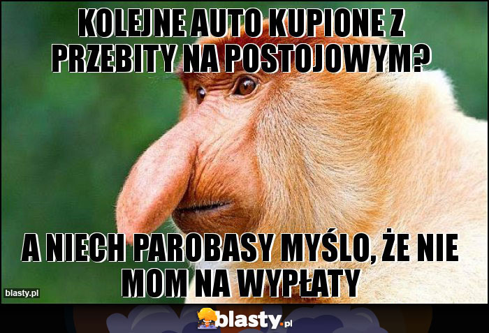 Kolejne auto kupione z przebity na postojowym? Kolejne auto kupione z przebity na postojowym?
