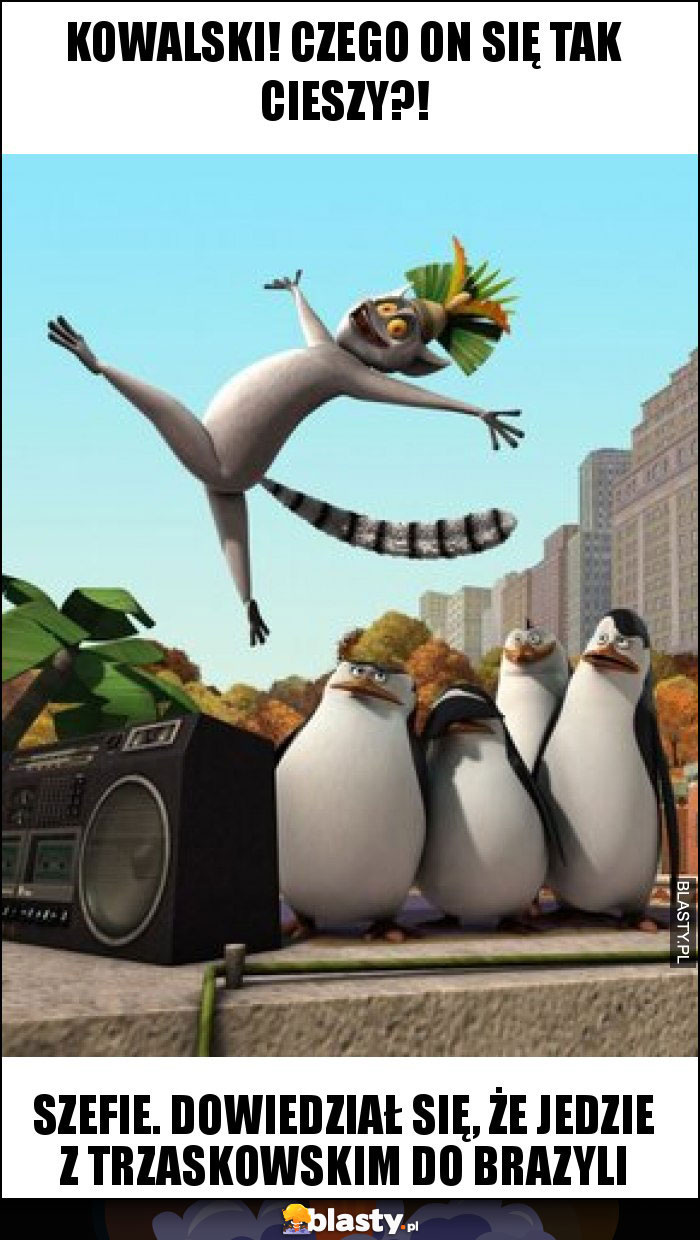 Kowalski! Czego on się tak cieszy?! Kowalski! Czego on się tak cieszy?!