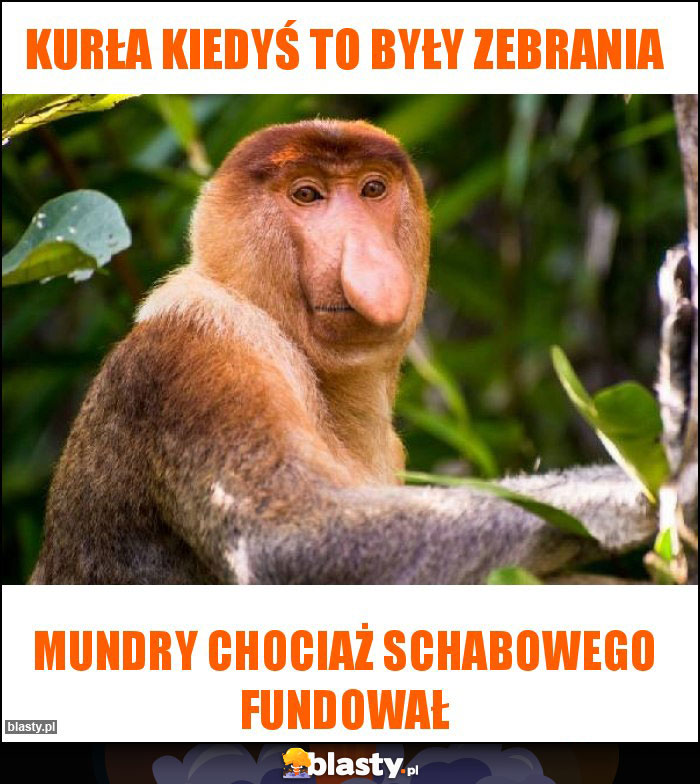 Kurła kiedyś to były zebrania Kurła kiedyś to były zebrania