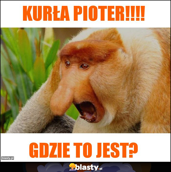 Kurła Pioter!!!! Kurła Pioter!!!!