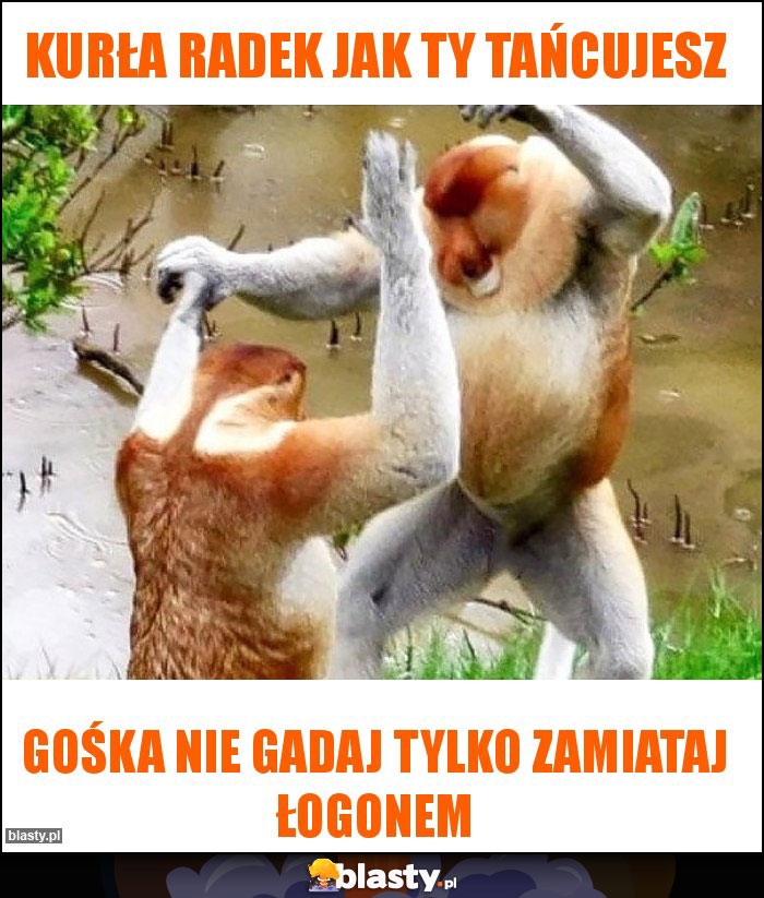 Kurła Radek jak Ty tańcujesz Kurła Radek jak Ty tańcujesz