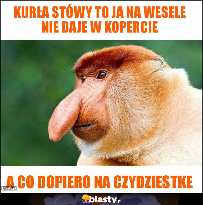 Kurła stówy to ja na wesele nie daje w kopercie