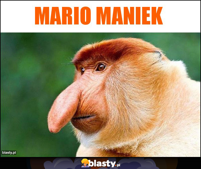 Mario Maniek Mario Maniek