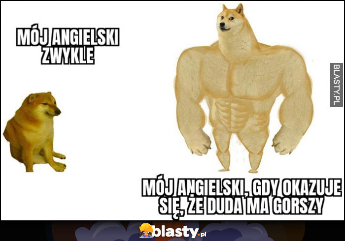 Mój angielski zwykle vs mój angielski, gdy okazuje się, że Duda ma gorszy pieseł doge