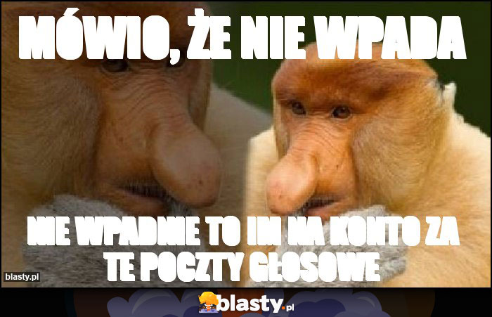 Mówio, że nie wpada Mówio, że nie wpada