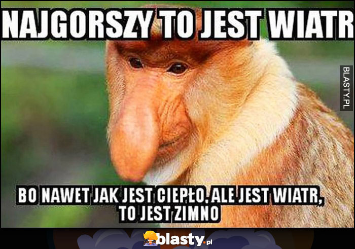 Najgorszy to jest wiatr, bo nawet jak jest ciepło, ale jest wiatr to jest zimno