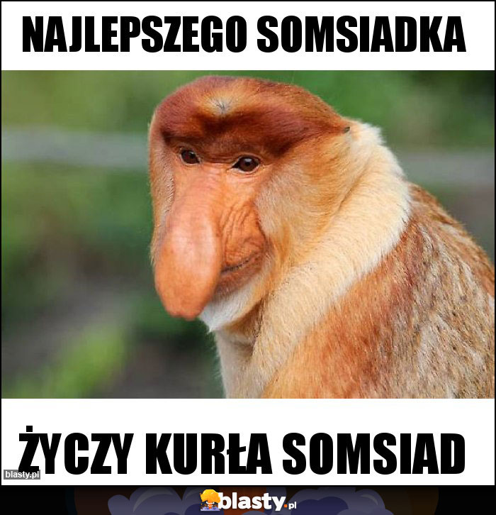 Najlepszego somsiadka Najlepszego somsiadka