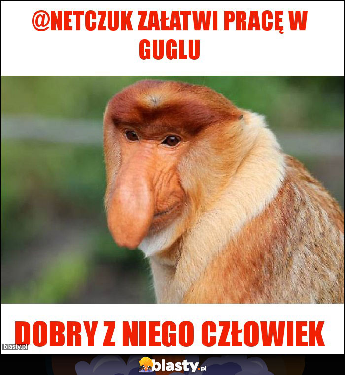 @netczuk załatwi pracę w guglu @netczuk załatwi pracę w guglu