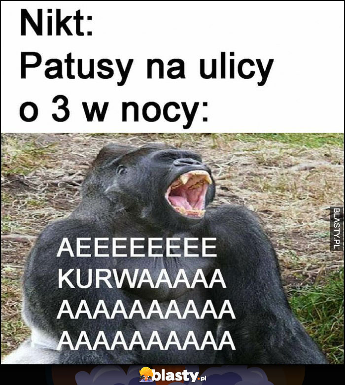 Nikt, patusy na ulicy o 3 w nocy drą się darcie mordy małpa orangutan