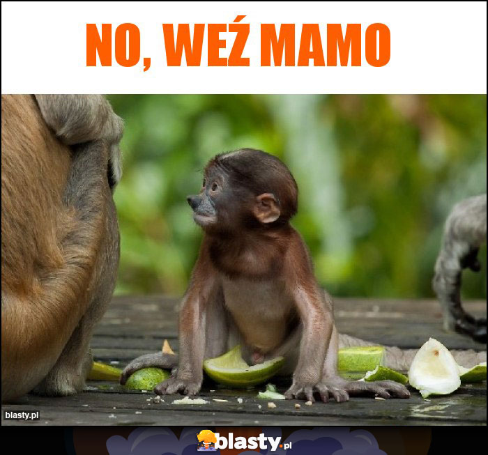 No, weź mamo No, weź mamo
