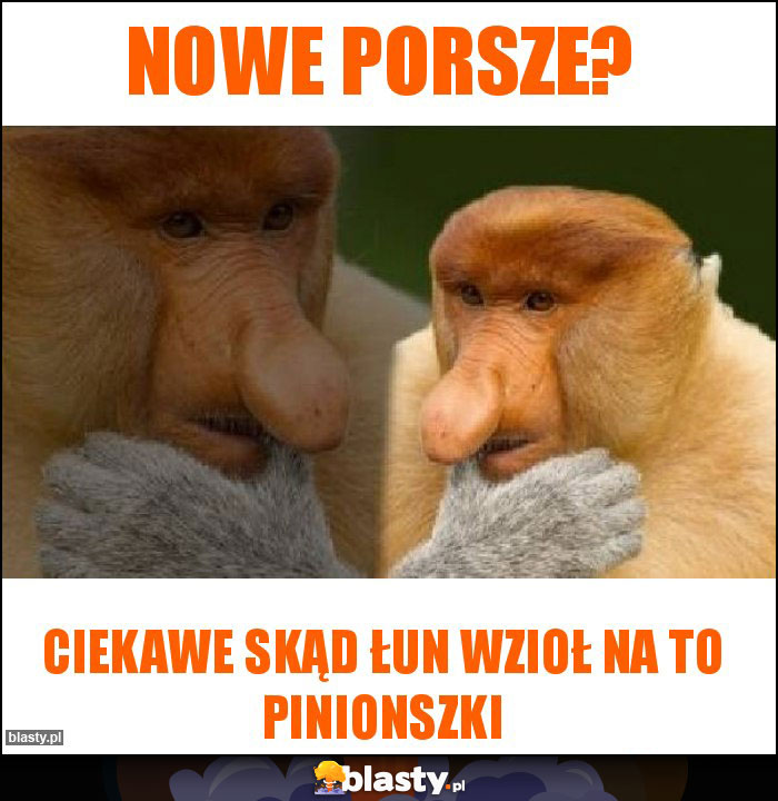 NOWE PORSZE? NOWE PORSZE?