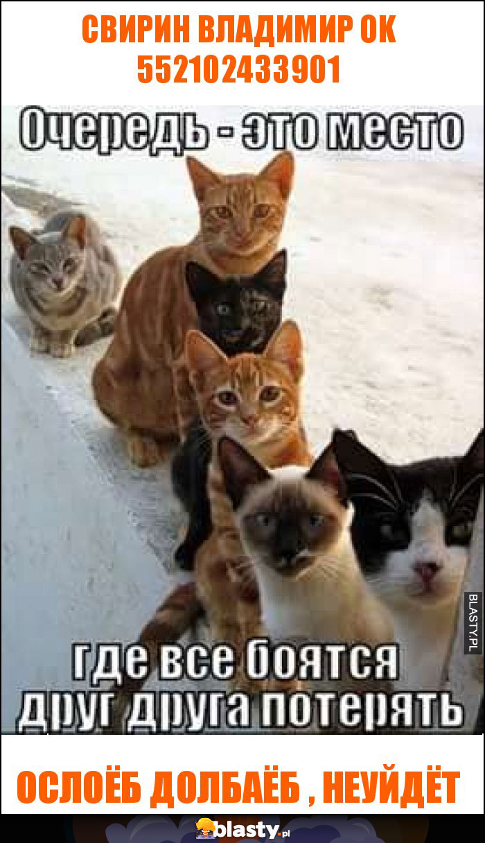 свирин владимир ok 552102433901 свирин владимир ok 552102433901