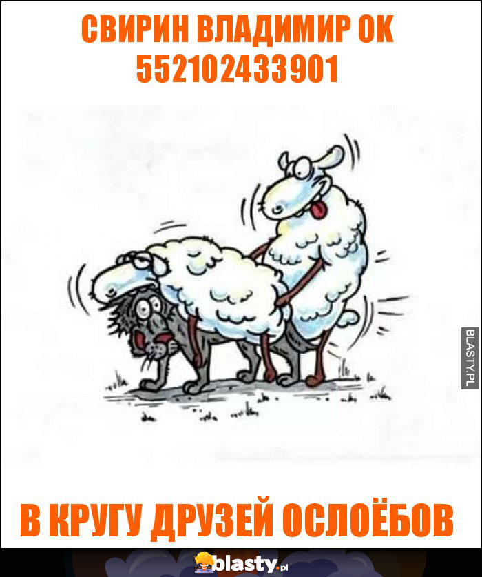 свирин владимир ok 552102433901 свирин владимир ok 552102433901