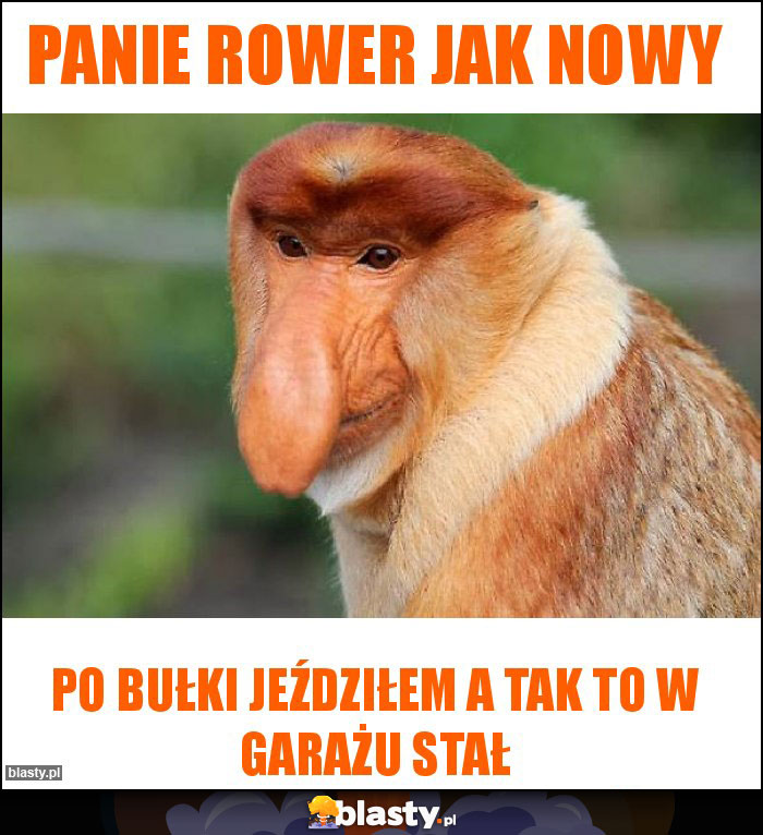 Panie rower jak nowy