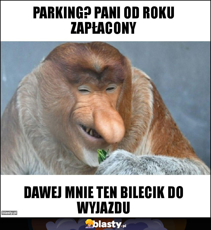 PARKING? PANI OD ROKU ZAPŁACONY PARKING? PANI OD ROKU ZAPŁACONY