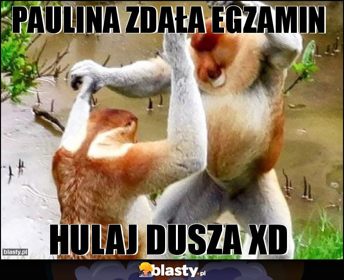 PAULINA ZDAŁA EGZAMIN PAULINA ZDAŁA EGZAMIN
