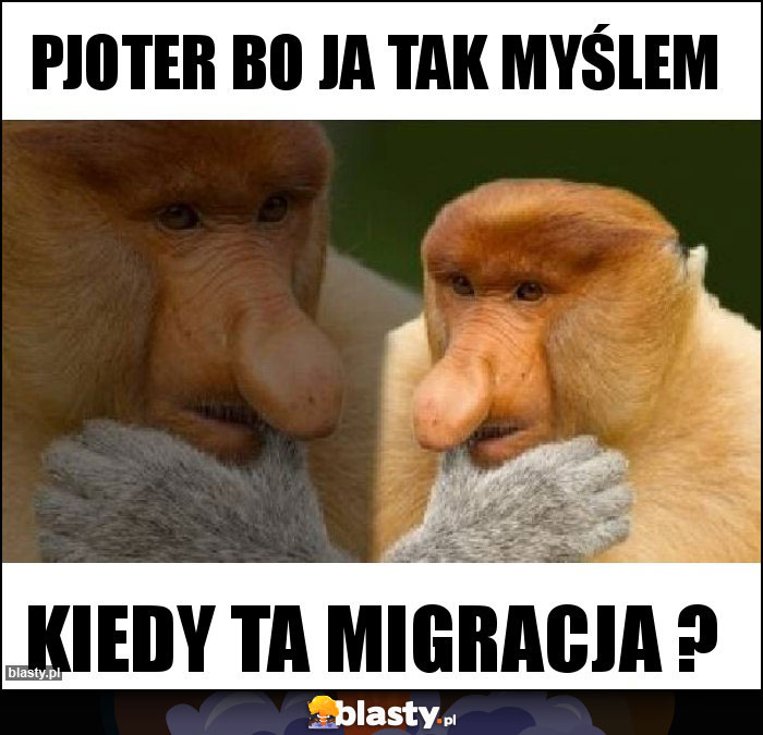PJOTER BO JA TAK MYŚLEM PJOTER BO JA TAK MYŚLEM