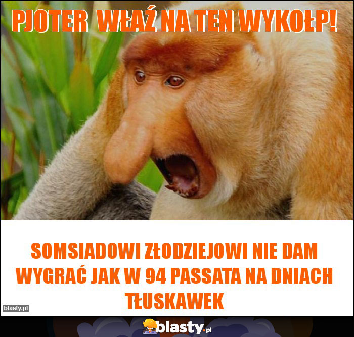 Pjoter właź na ten wykołp! Pjoter właź na ten wykołp!