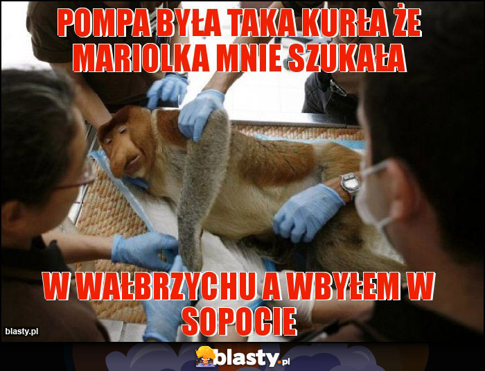 pompa była taka kurła że mariolka mnie szukała pompa była taka kurła że mariolka mnie szukała