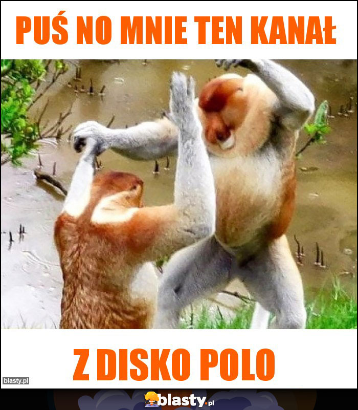 Puś no mnie ten kanał Puś no mnie ten kanał