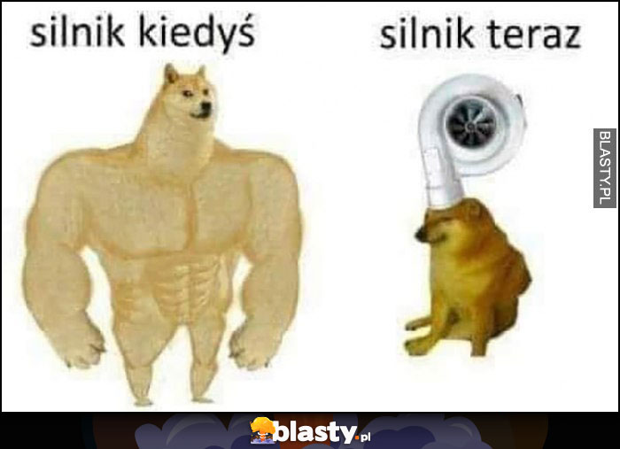 Silnik kiedyś potężny, teraz turbo turbina pieseł doge