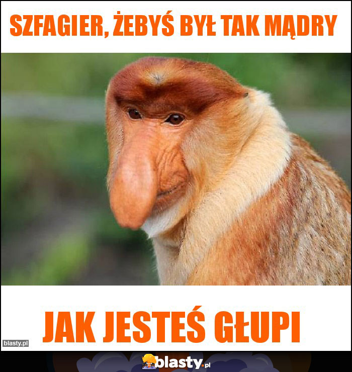 Szfagier, żebyś był tak mądry Szfagier, żebyś był tak mądry